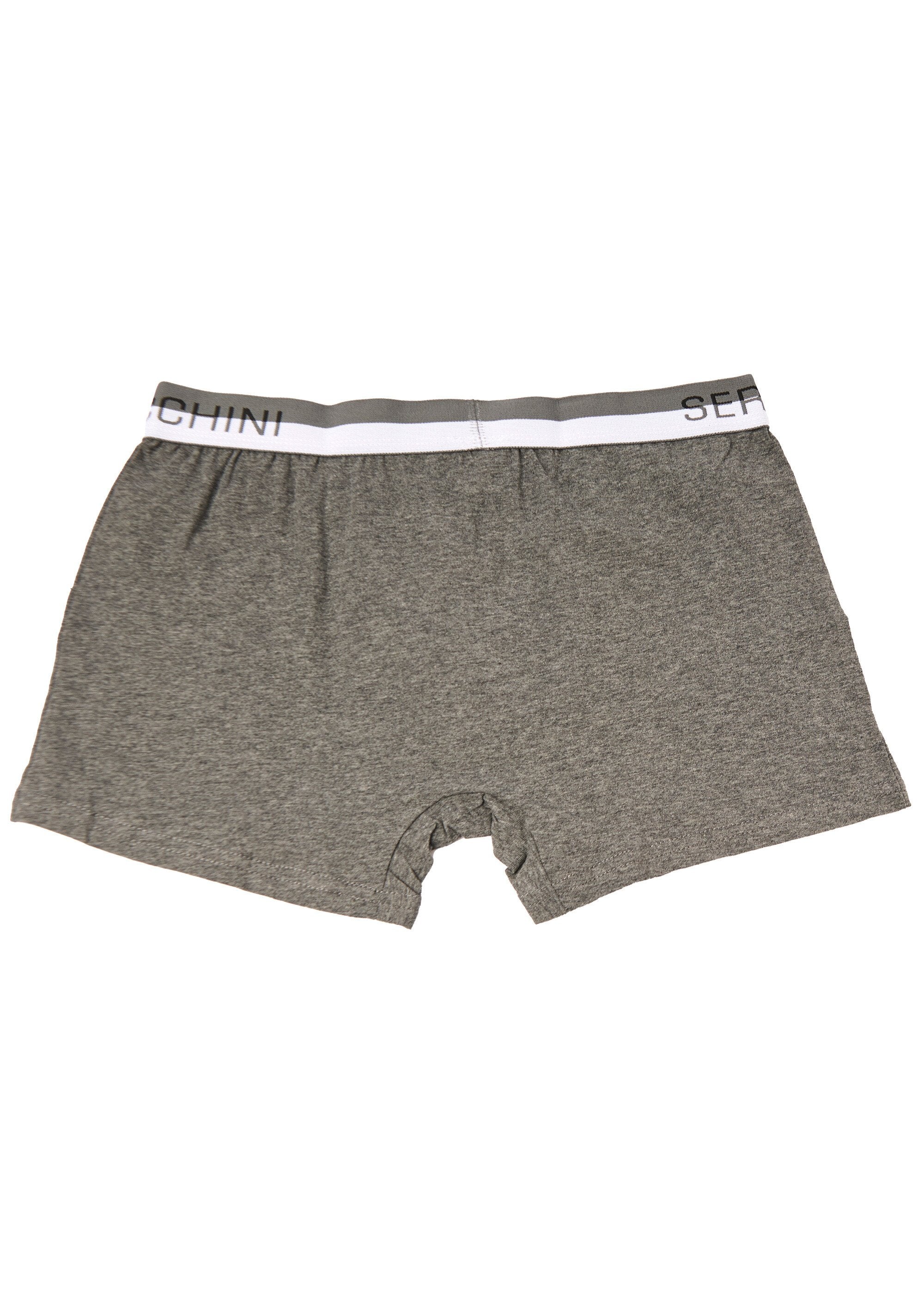 Plain_boxer_shorts_with_logo_waistband_Gray_DO1_slim