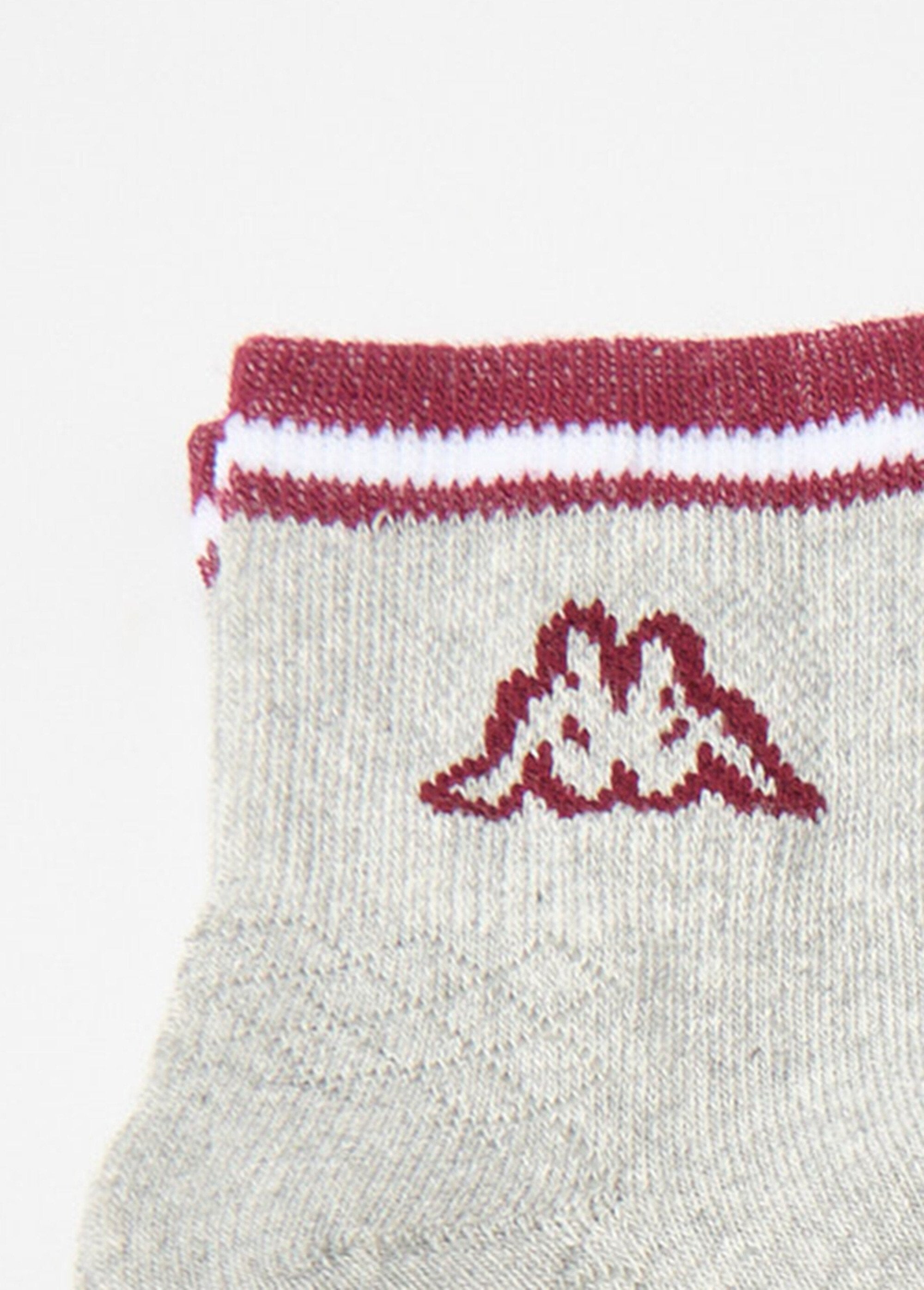 Pack_of_2_assorted_logo_socks_Gray_set_2_DE2_slim