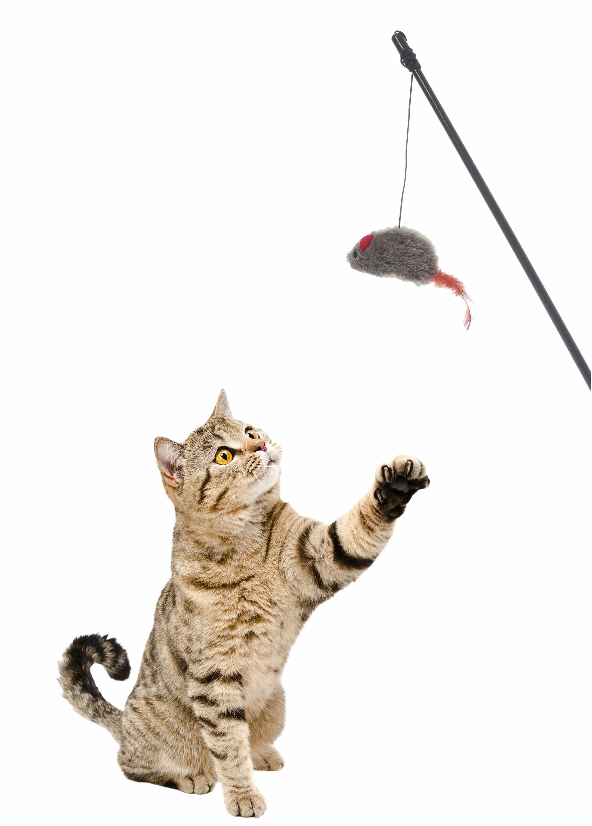 Cat_toy_cane_mouse_plush_Gray_DE2_slim