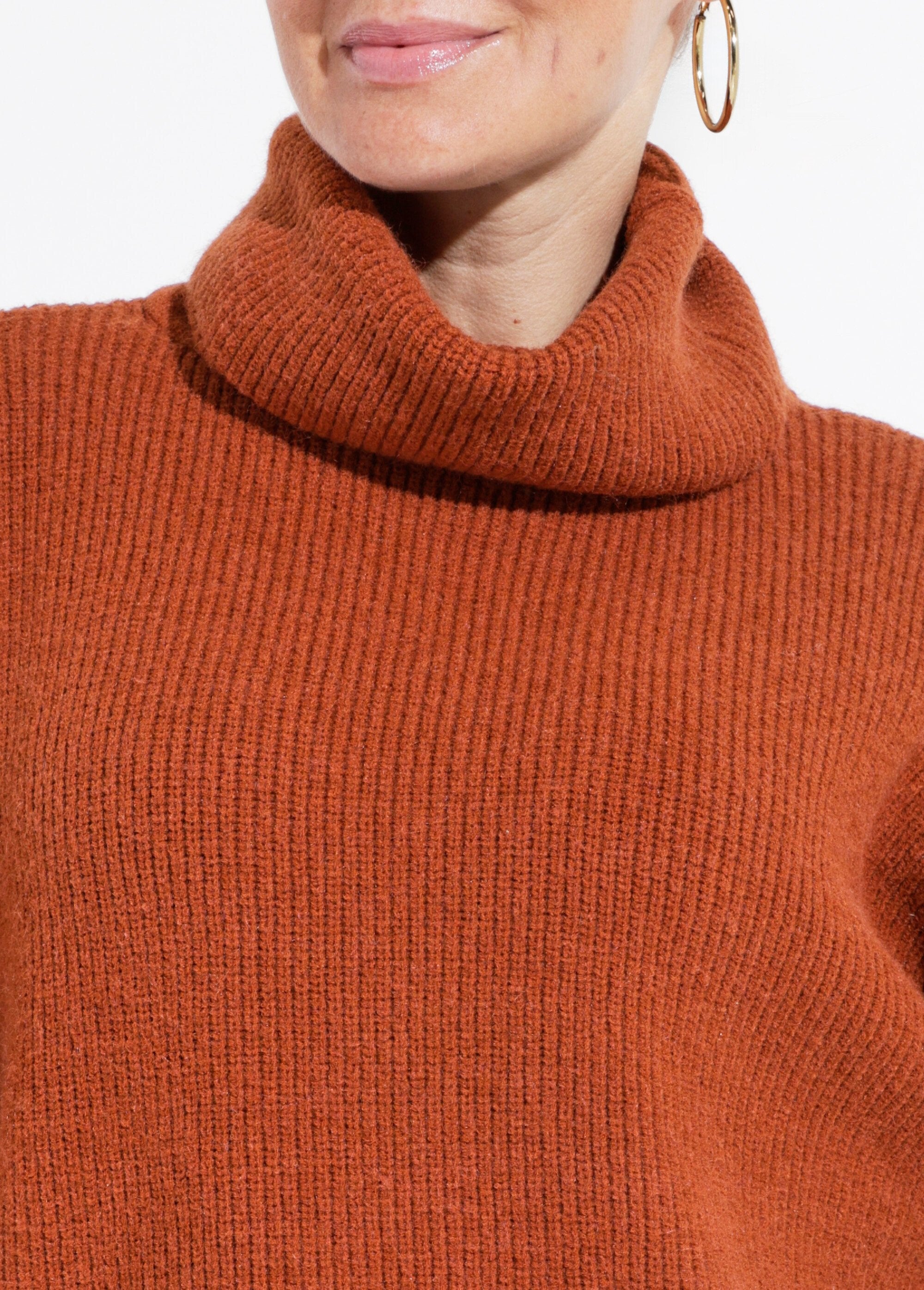 Pull_en_maille_avec_col_roulé_souple_Camel_DE1_slim